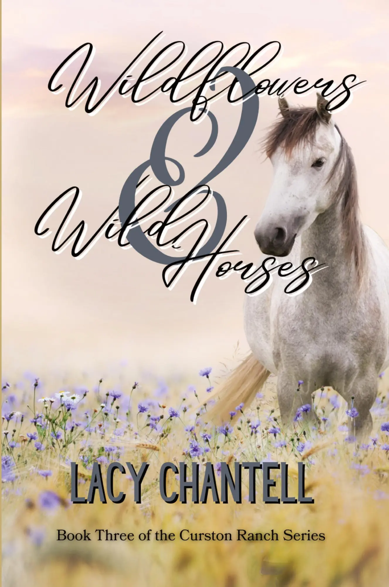 Cover: 9798869334824 | Wildflowers &amp; Wild Horses | Lacy Chantell | Taschenbuch | Englisch