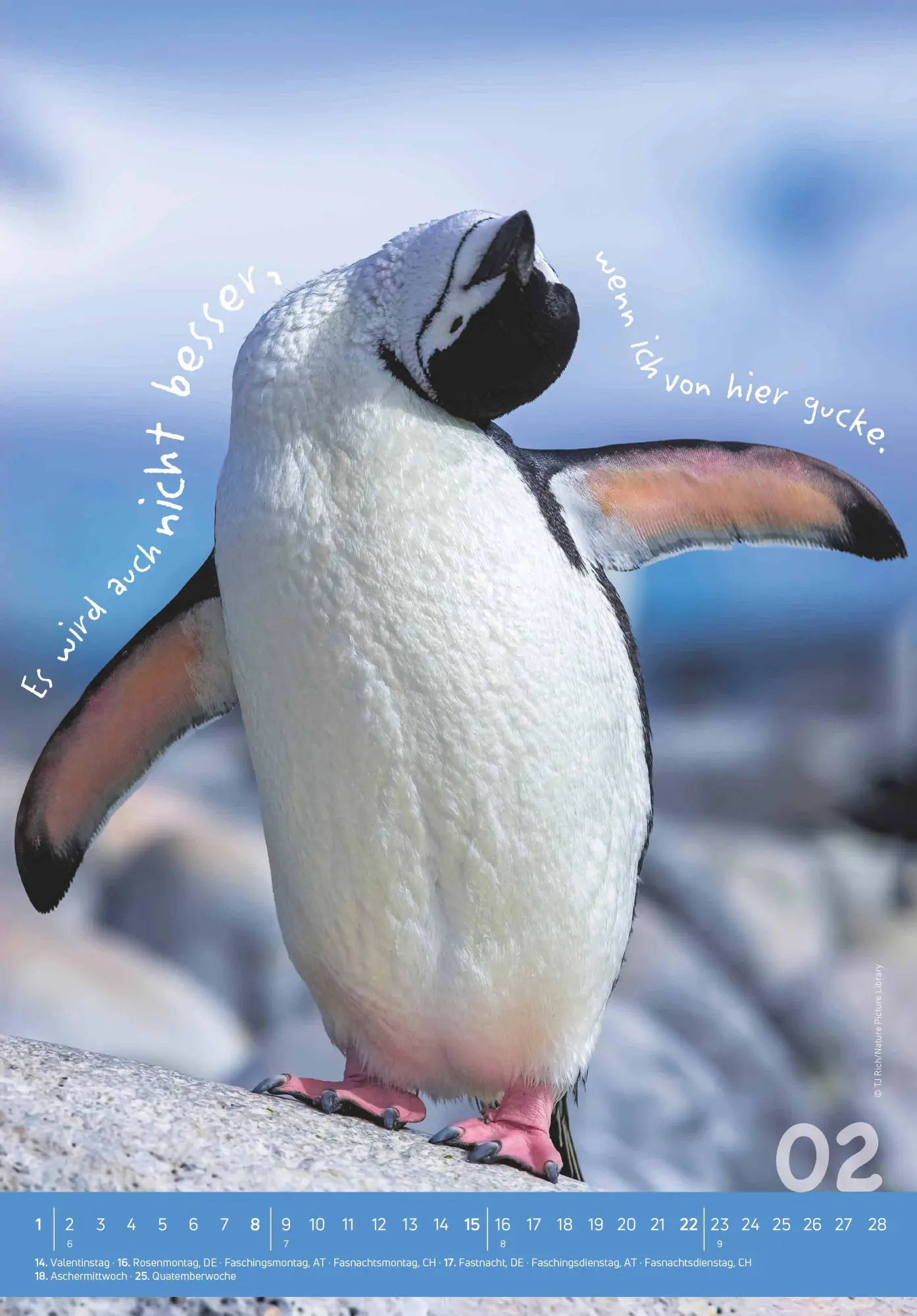 Bild: 4069095004924 | Tierisch cool! 2026 - Bild-Kalender 23,7x34 cm - mit lustigen...