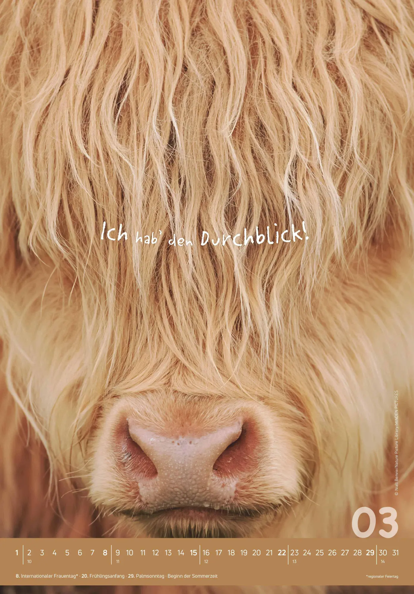 Bild: 4069095004924 | Tierisch cool! 2026 - Bild-Kalender 23,7x34 cm - mit lustigen...