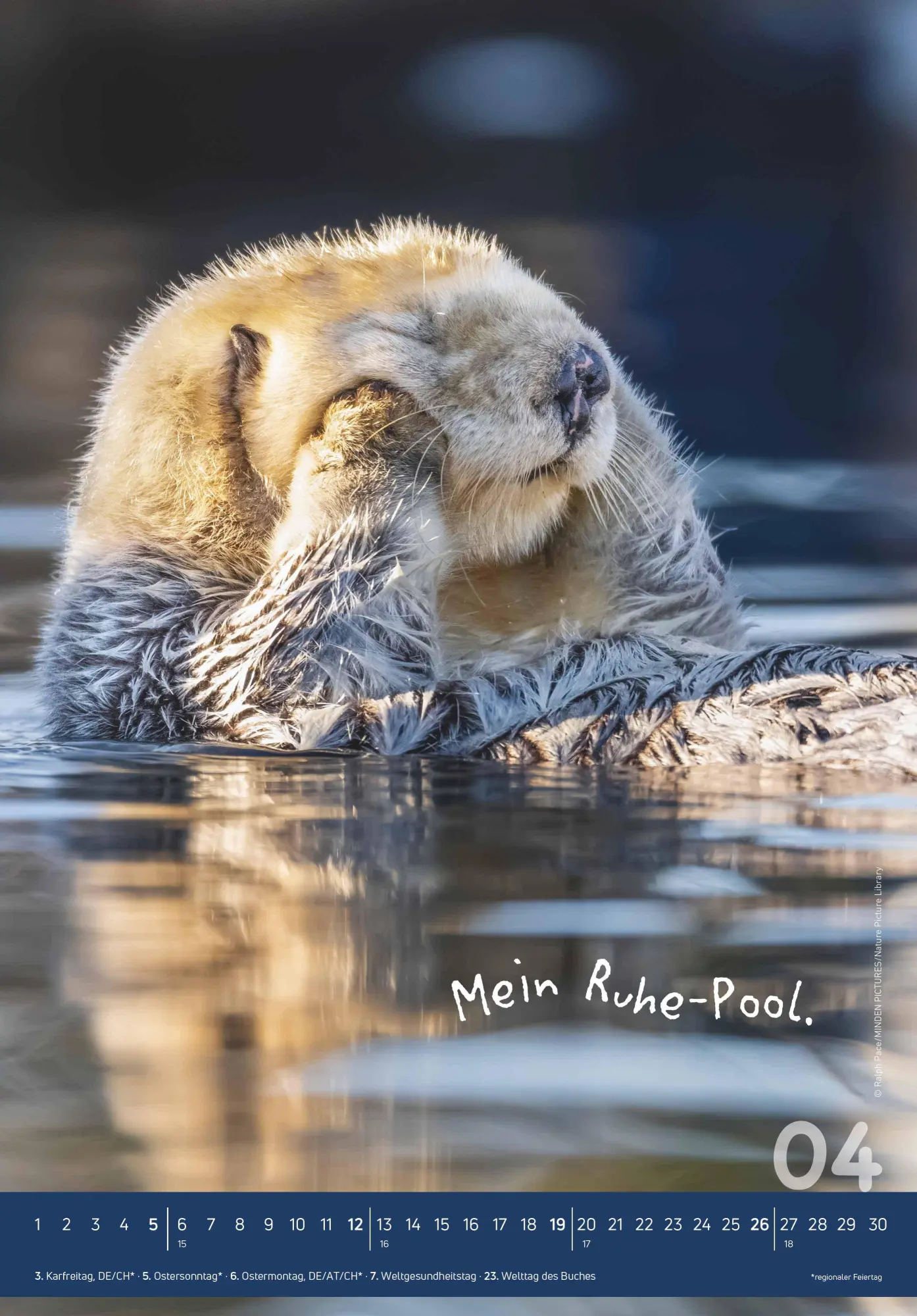 Bild: 4069095004924 | Tierisch cool! 2026 - Bild-Kalender 23,7x34 cm - mit lustigen...