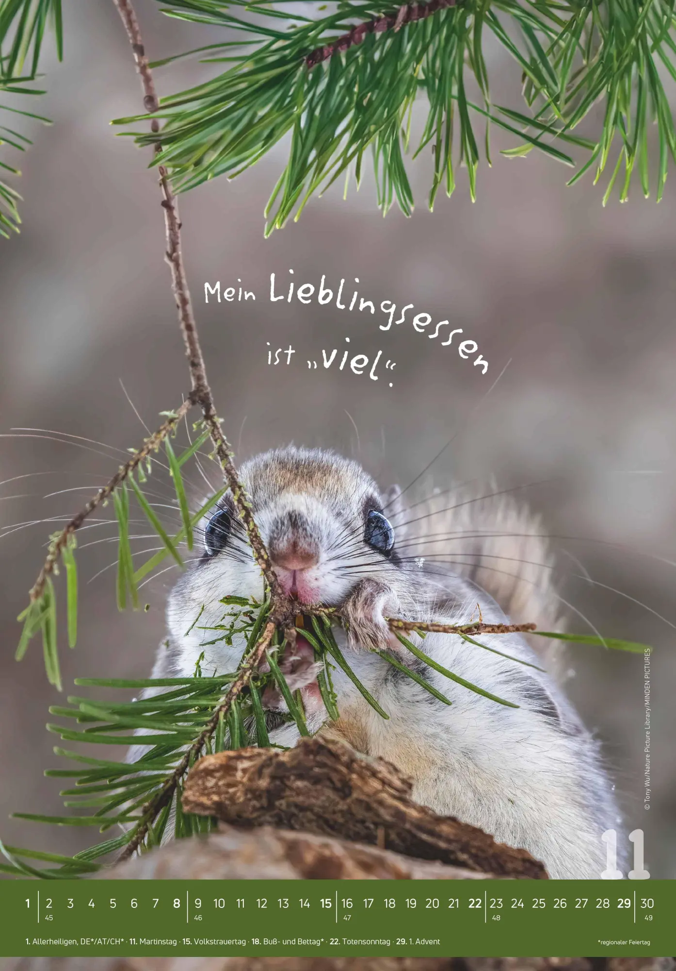 Bild: 4069095004924 | Tierisch cool! 2026 - Bild-Kalender 23,7x34 cm - mit lustigen...