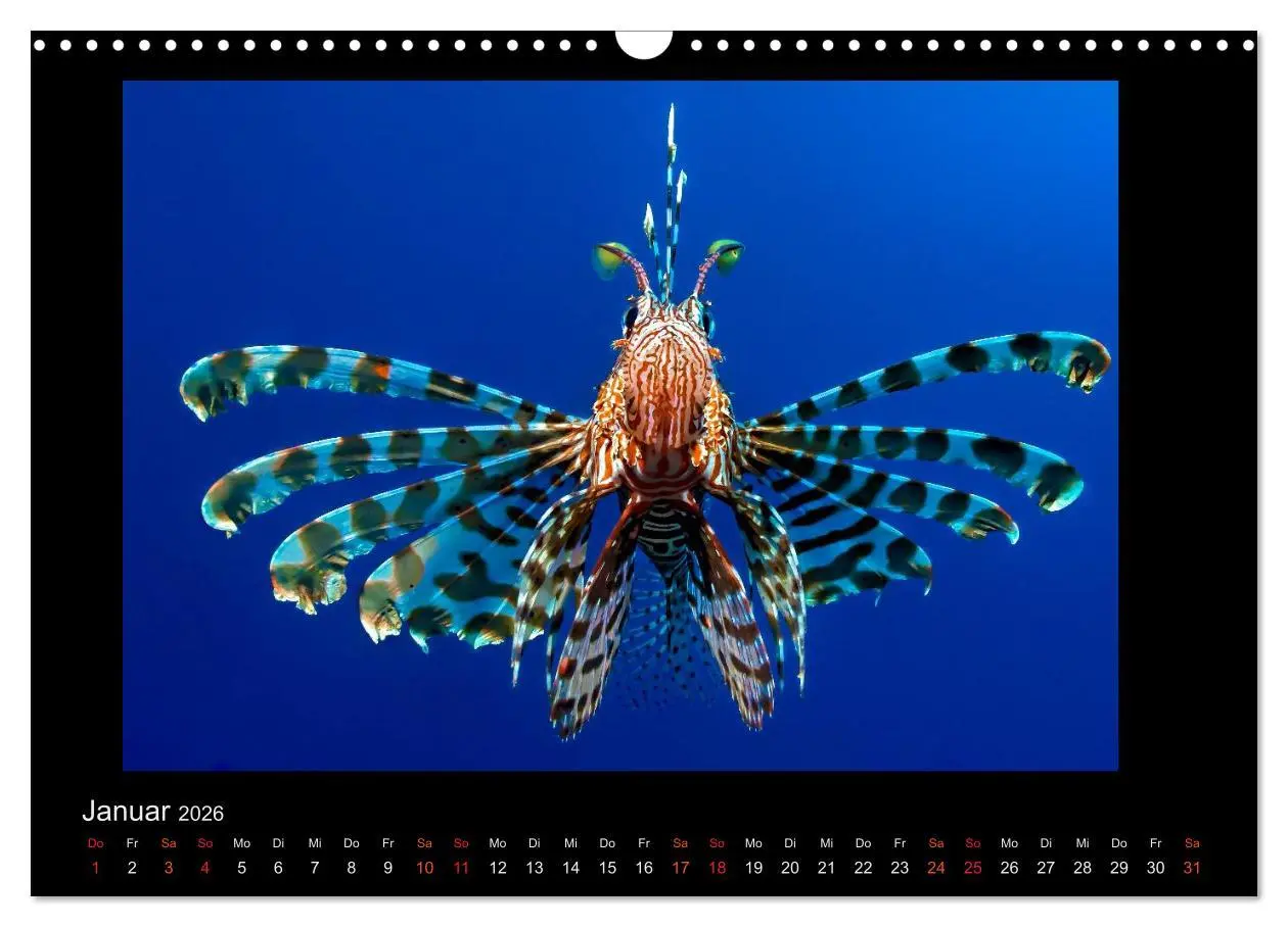 Bild: 9783516154924 | Ocean-Art / CH-Version (Wandkalender 2026 DIN A3 quer), CALVENDO...