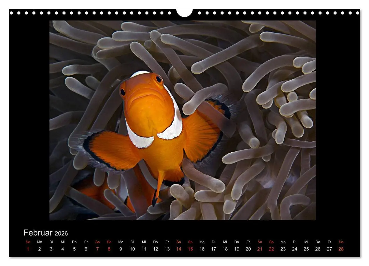 Bild: 9783516154924 | Ocean-Art / CH-Version (Wandkalender 2026 DIN A3 quer), CALVENDO...