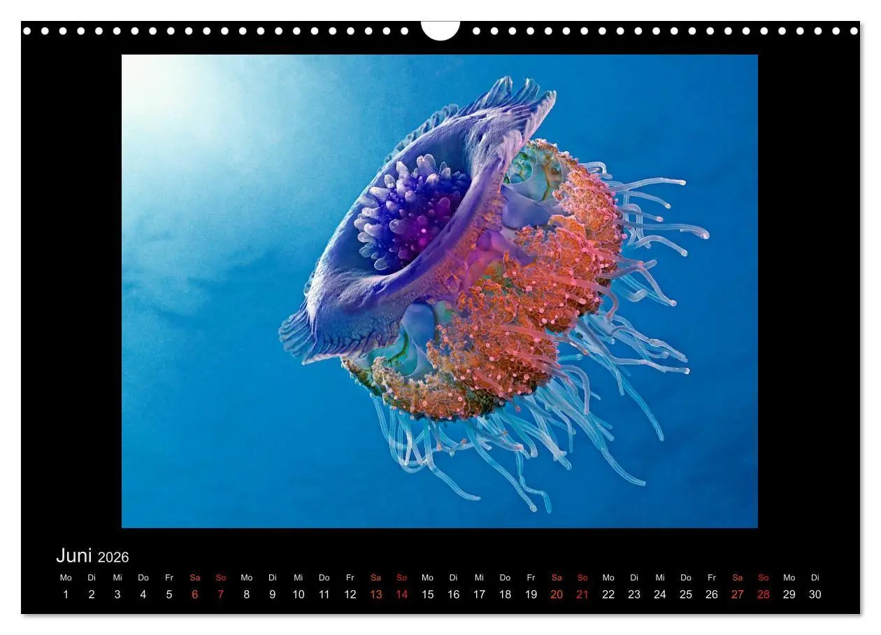 Bild: 9783516154924 | Ocean-Art / CH-Version (Wandkalender 2026 DIN A3 quer), CALVENDO...
