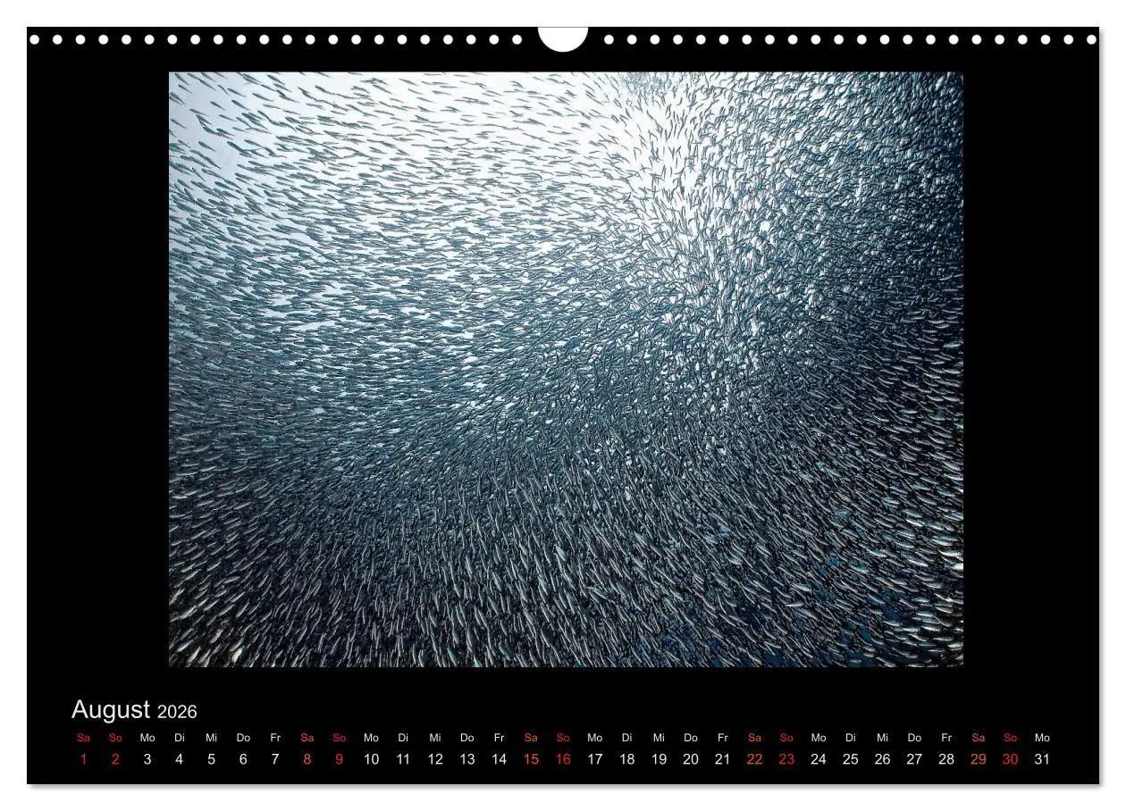 Bild: 9783516154924 | Ocean-Art / CH-Version (Wandkalender 2026 DIN A3 quer), CALVENDO...