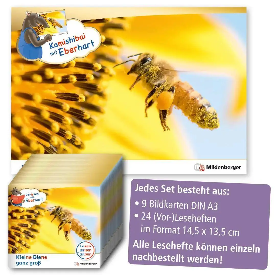 Bild: 9783619044924 | Kamishibai mit Eberhart - Kleine Biene ganz groß - Set | Broschüre
