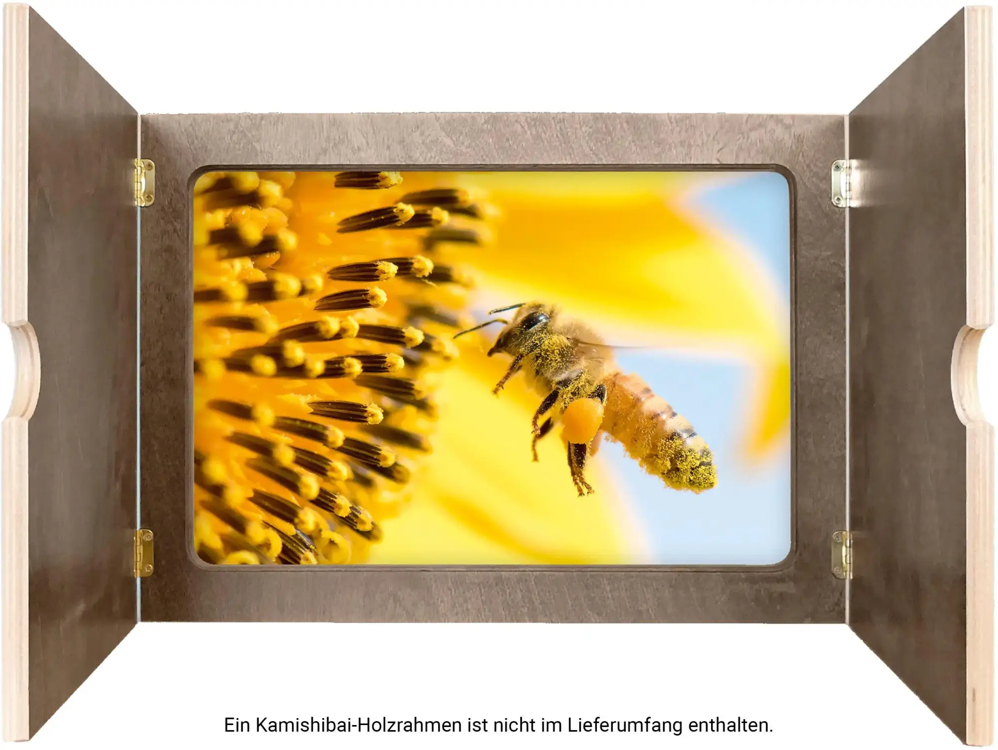Bild: 9783619044924 | Kamishibai mit Eberhart - Kleine Biene ganz groß - Set | Broschüre