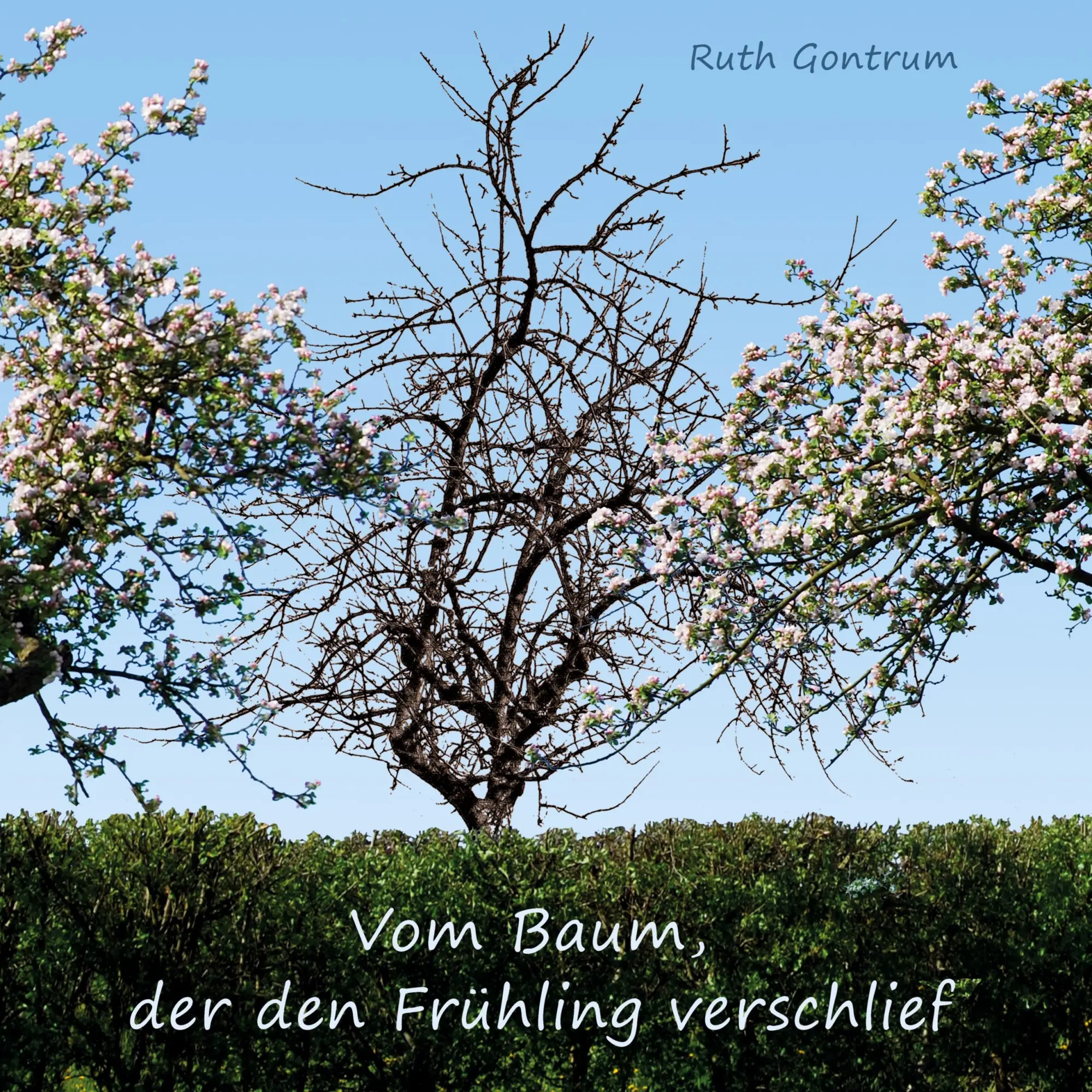 Cover: 9783819264924 | Vom Baum, der den Frühling verschlief | Ein Mitmach-Bilderbuch | Buch