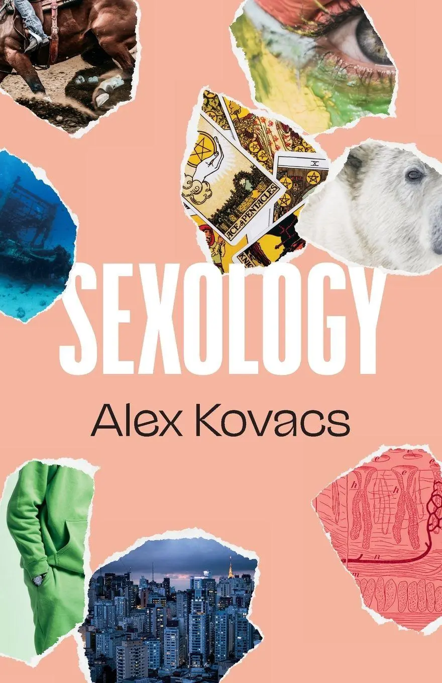Cover: 9781628975024 | Sexology | Alex Kovacs | Taschenbuch | Kartoniert / Broschiert | 2024
