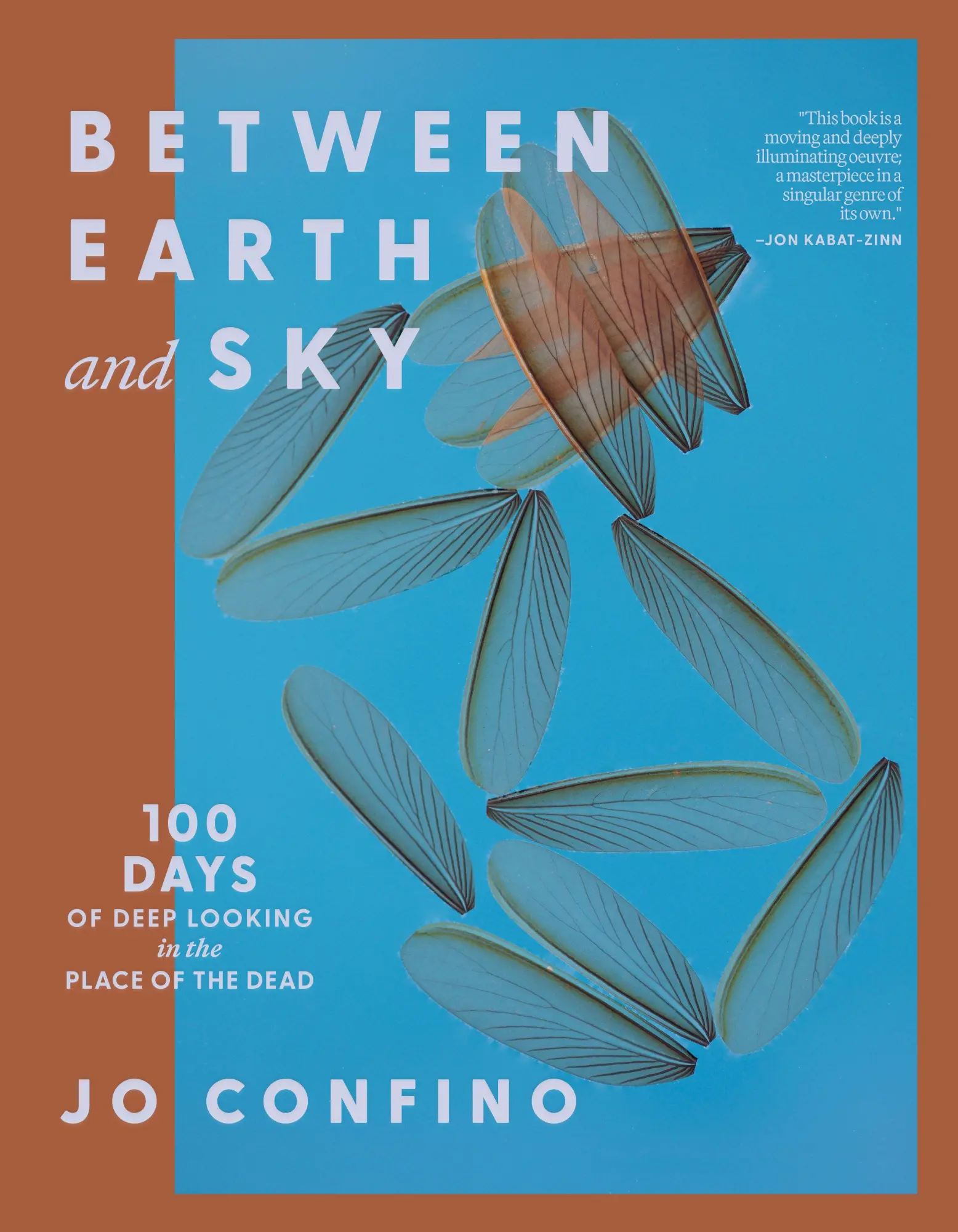 Cover: 9781967175024 | Between Earth and Sky | Jo Confino | Taschenbuch | Englisch | 2026