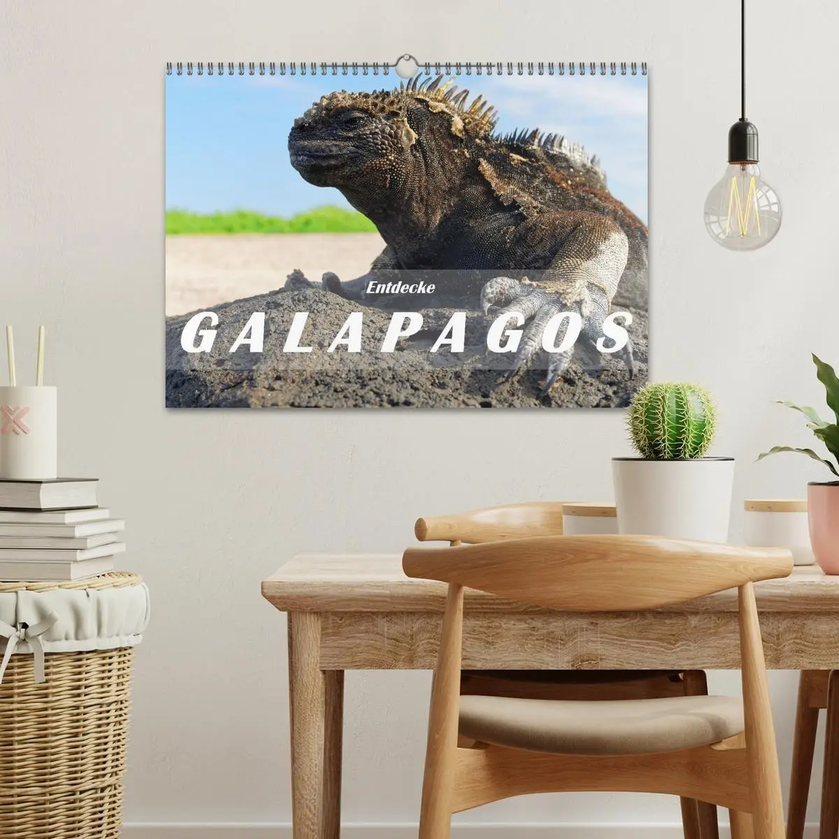 Bild: 9783457405024 | Entdecke Galapagos (Wandkalender 2026 DIN A3 quer), CALVENDO...