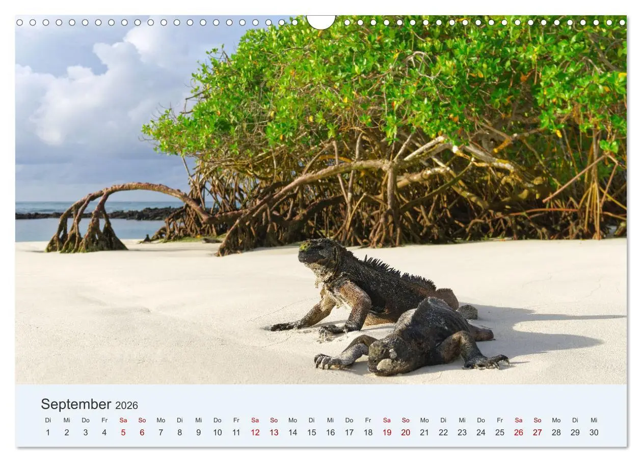 Bild: 9783457405024 | Entdecke Galapagos (Wandkalender 2026 DIN A3 quer), CALVENDO...