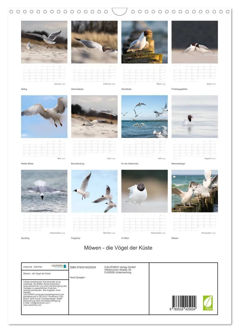 Bild: 9783516425024 | Möwen - die Vögel der Küste (Wandkalender 2026 DIN A3 hoch),...