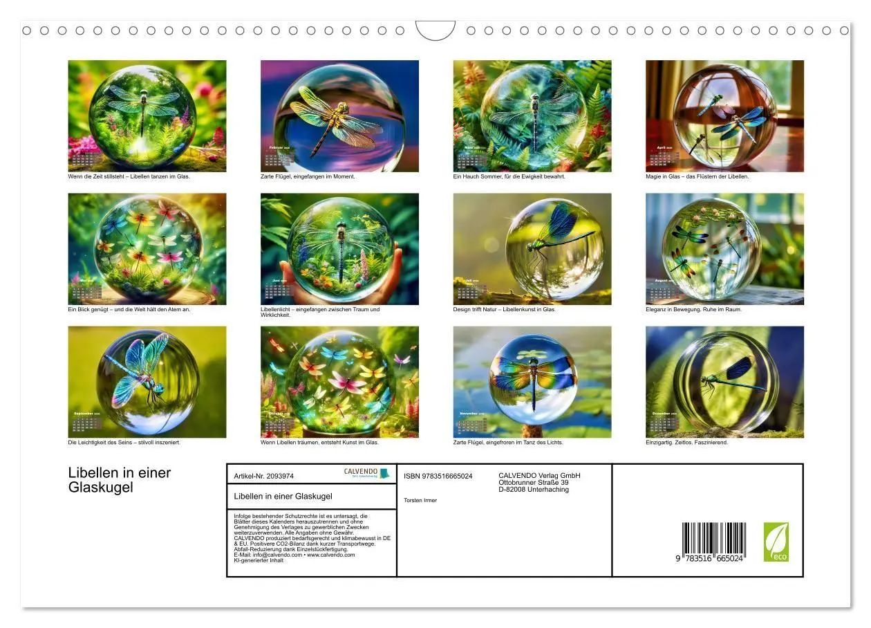 Bild: 9783516665024 | Libellen in einer Glaskugel (Wandkalender 2026 DIN A3 quer),...