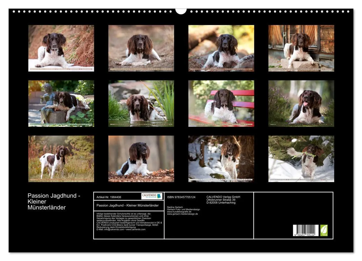 Bild: 9783457705124 | Passion Jagdhund - Kleiner Münsterländer (Wandkalender 2026 DIN A2...