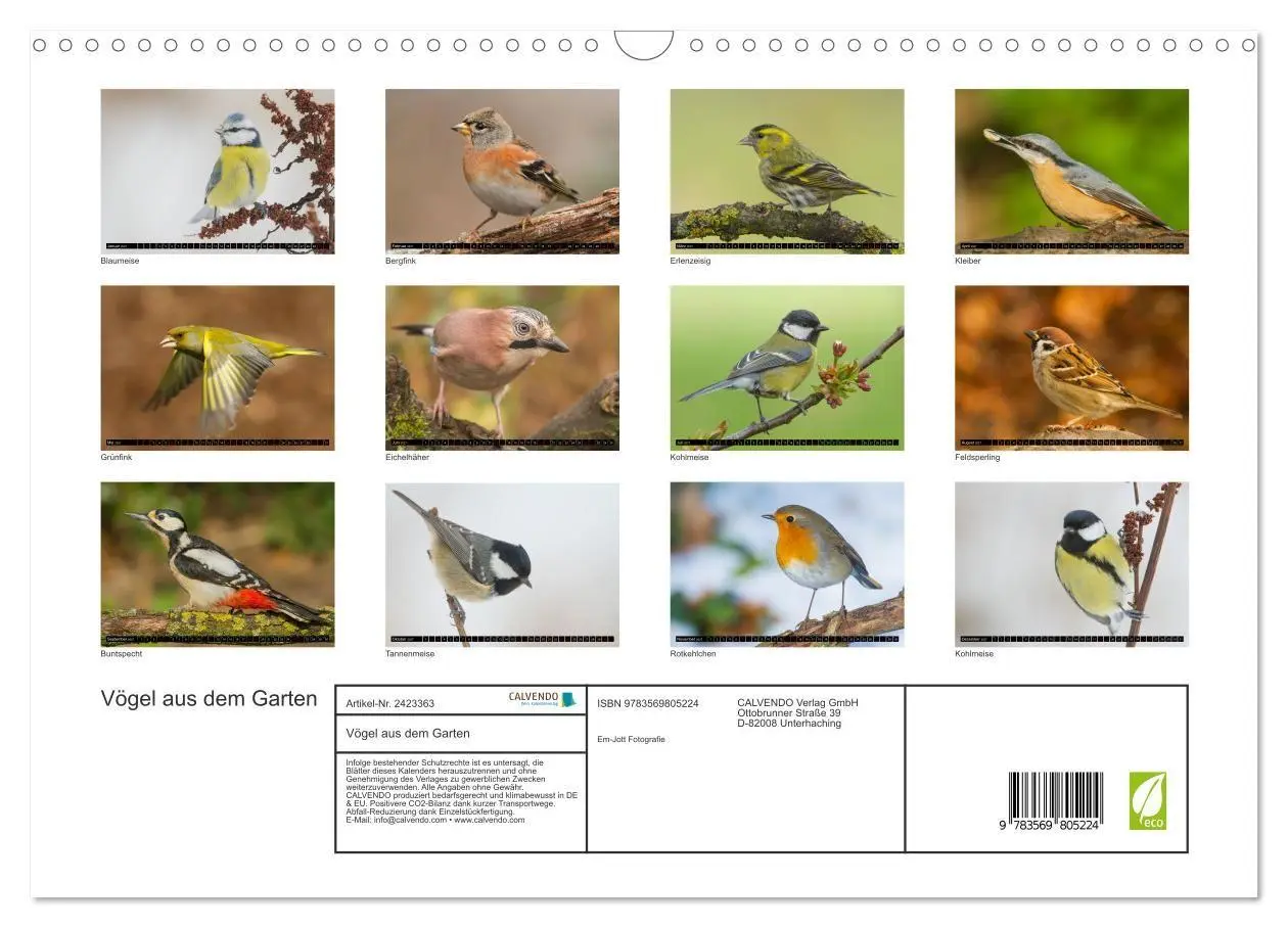 Bild: 9783569805224 | Vögel aus dem Garten (Wandkalender 2027 DIN A3 quer), CALVENDO...