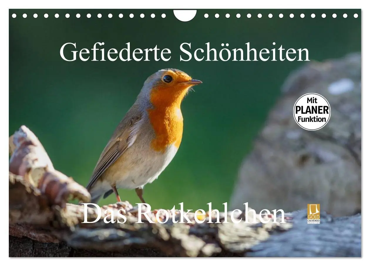 Cover: 9783516015324 | Gefiederte Schönheiten - Das Rotkehlchen / Planer (Wandkalender...
