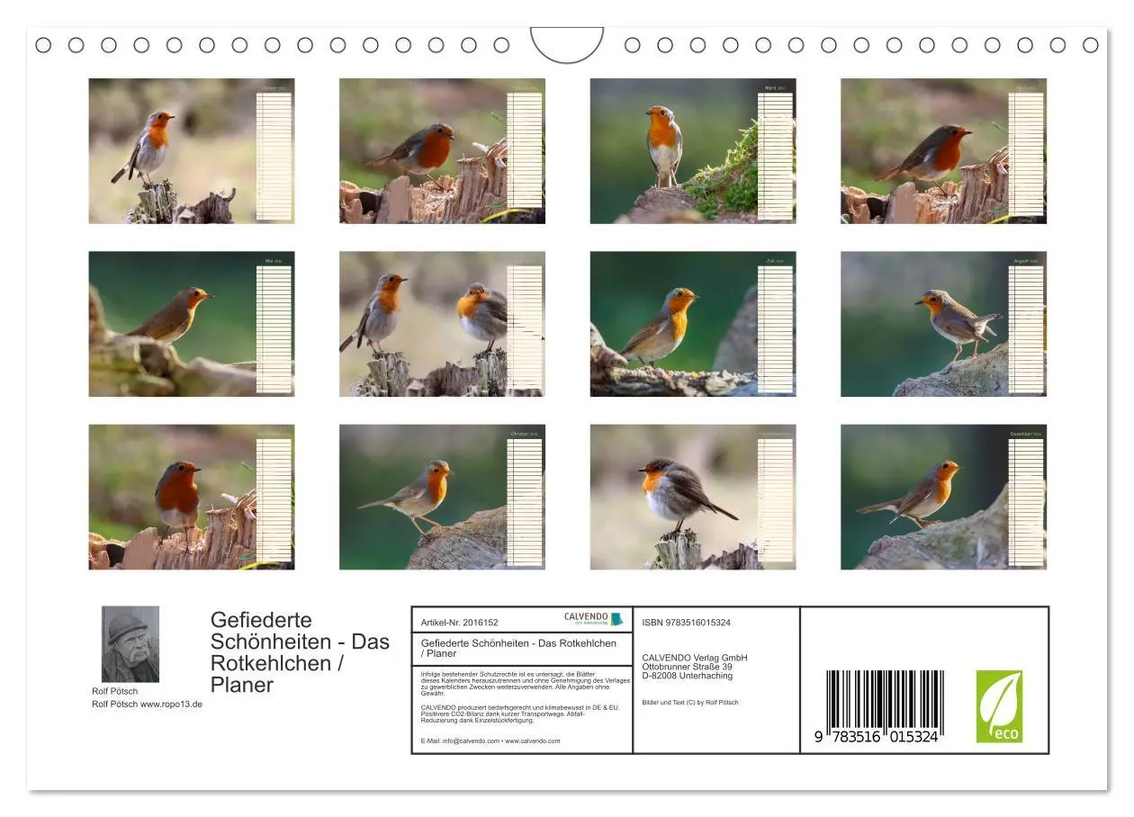 Bild: 9783516015324 | Gefiederte Schönheiten - Das Rotkehlchen / Planer (Wandkalender...