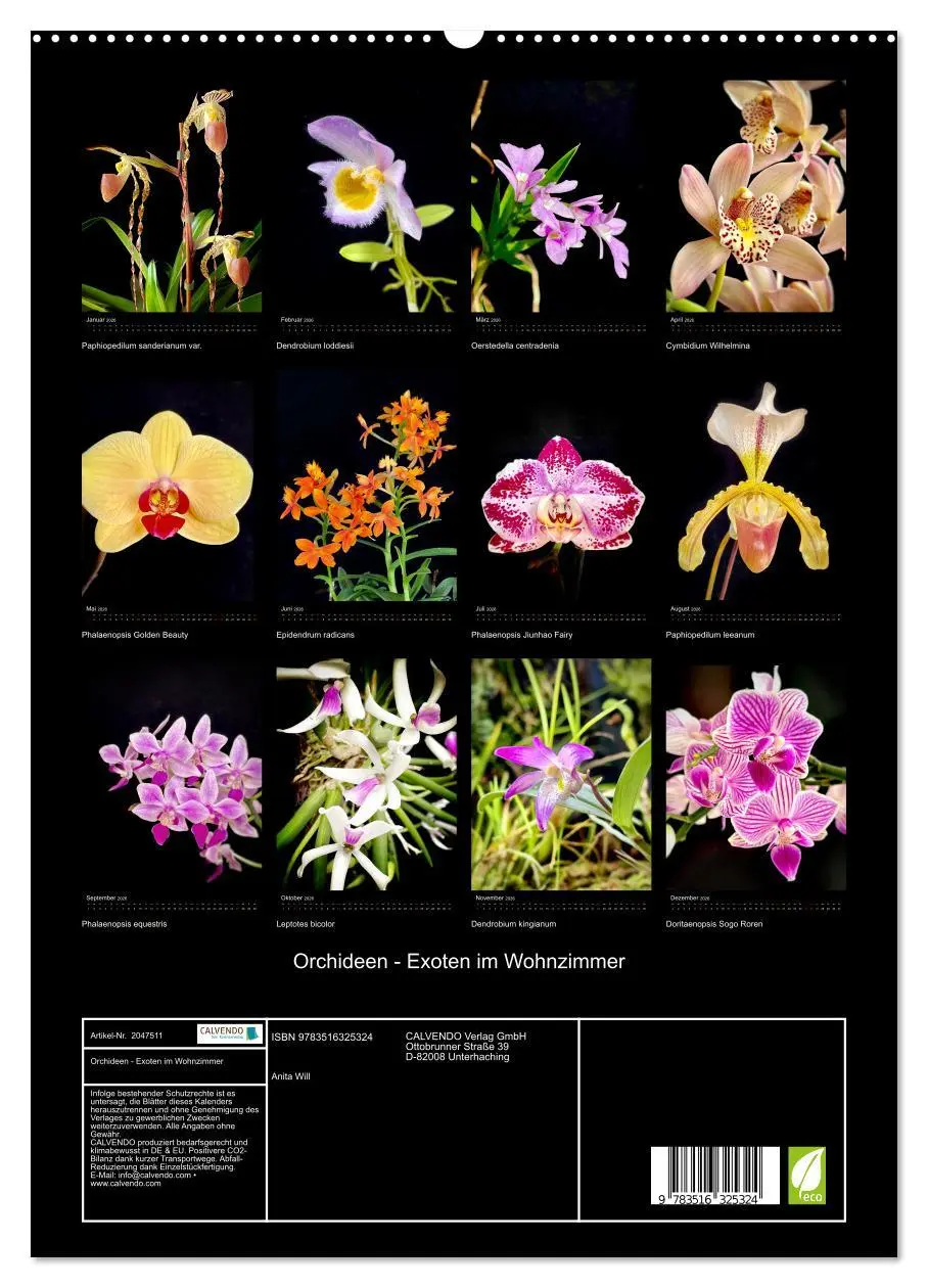 Bild: 9783516325324 | Orchideen - Exoten im Wohnzimmer (hochwertiger Premium Wandkalender...