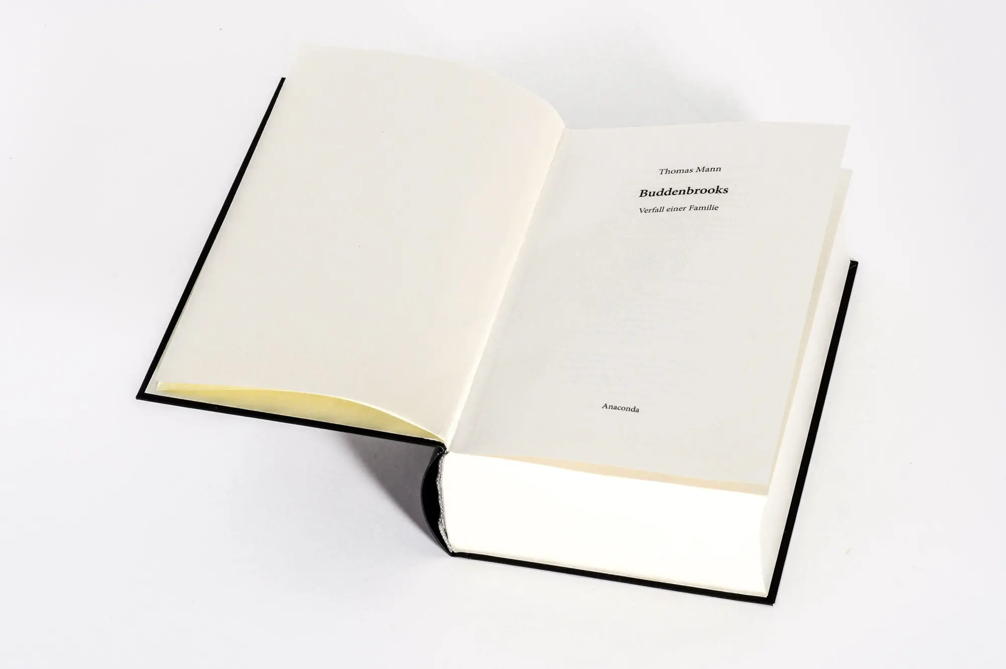 Bild: 9783730615324 | Buddenbrooks. Verfall einer Familie. Roman | Thomas Mann | Buch | 2026
