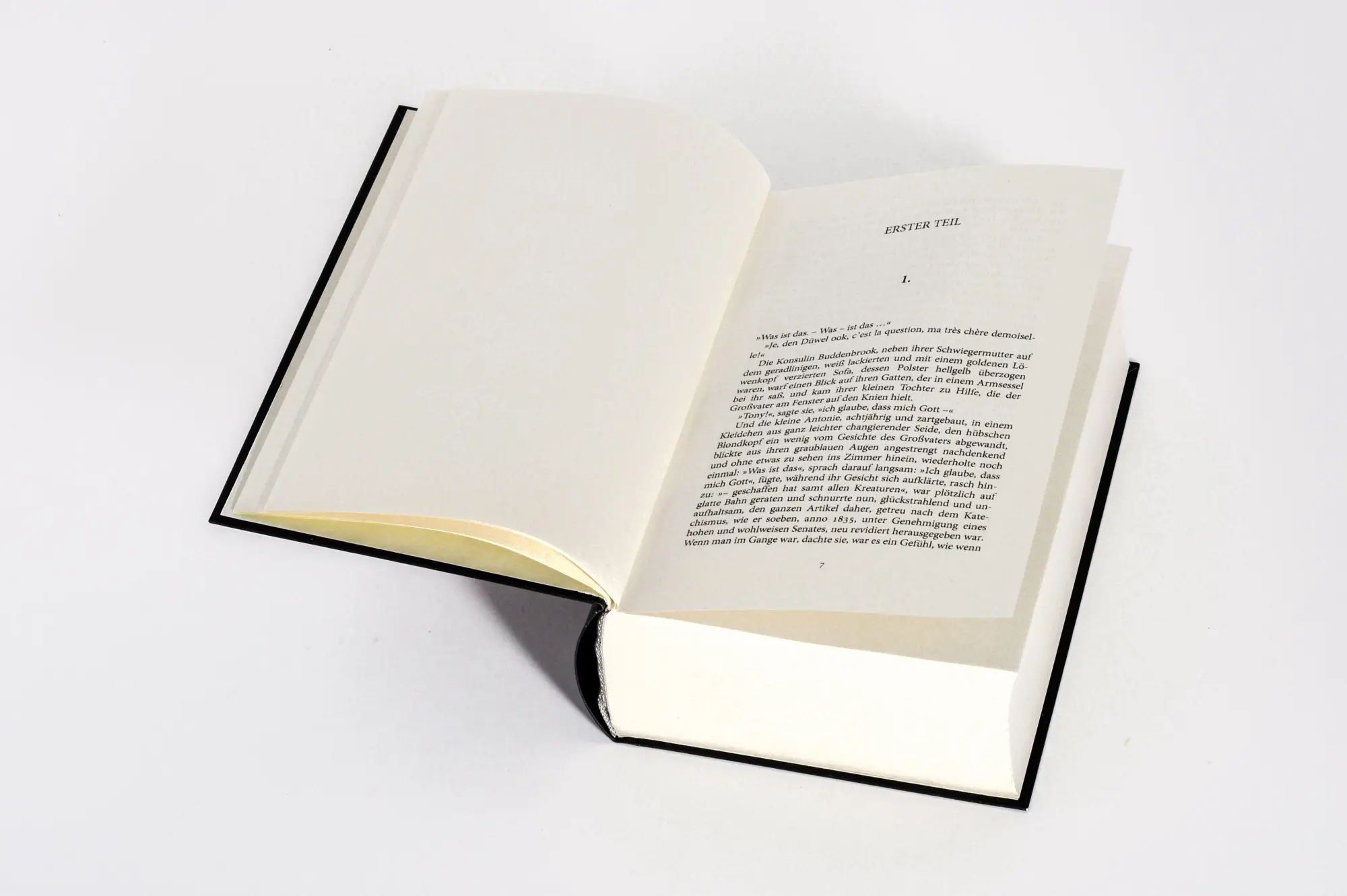 Bild: 9783730615324 | Buddenbrooks. Verfall einer Familie. Roman | Thomas Mann | Buch | 2026