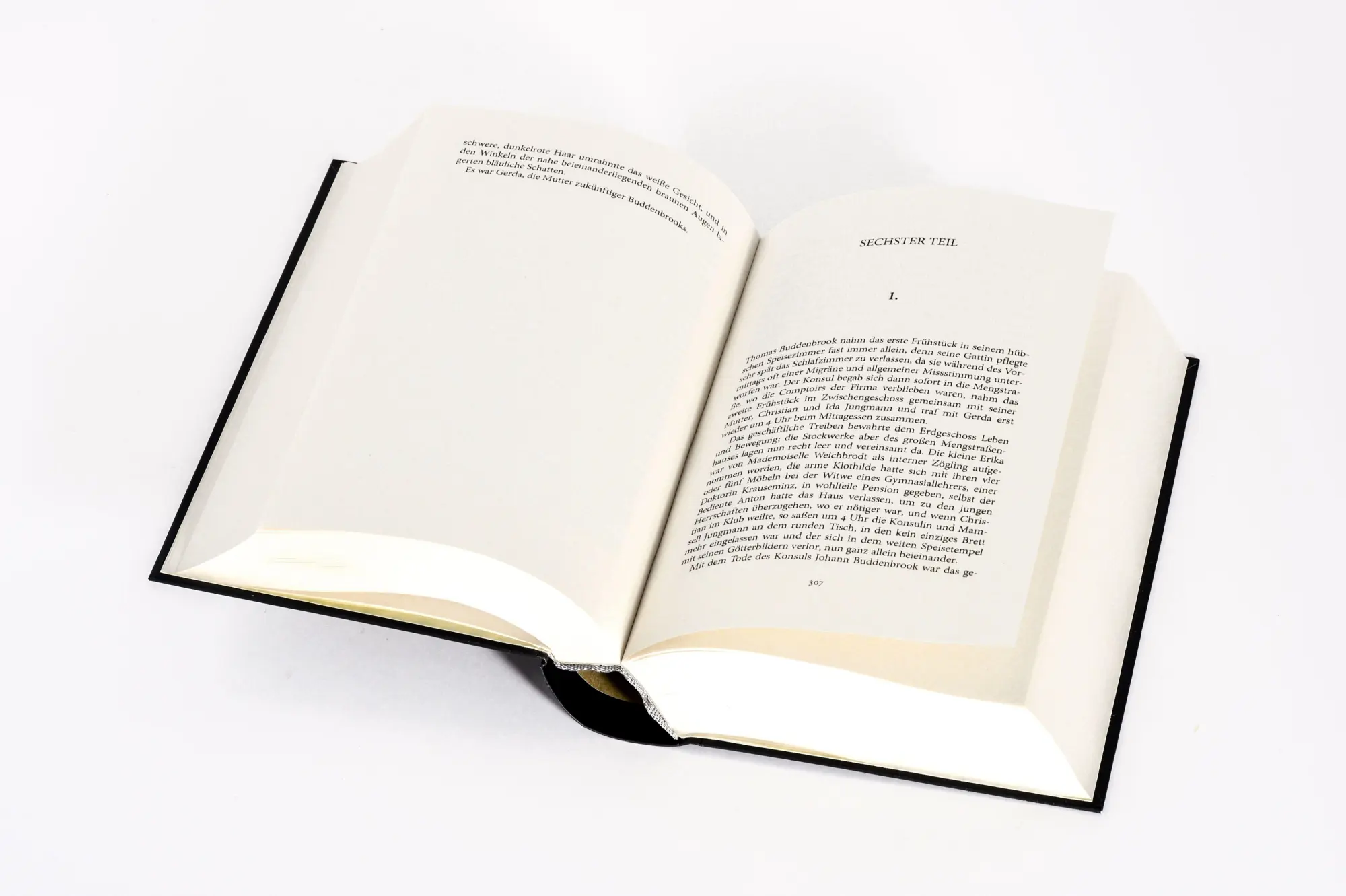 Bild: 9783730615324 | Buddenbrooks. Verfall einer Familie. Roman | Thomas Mann | Buch | 2026