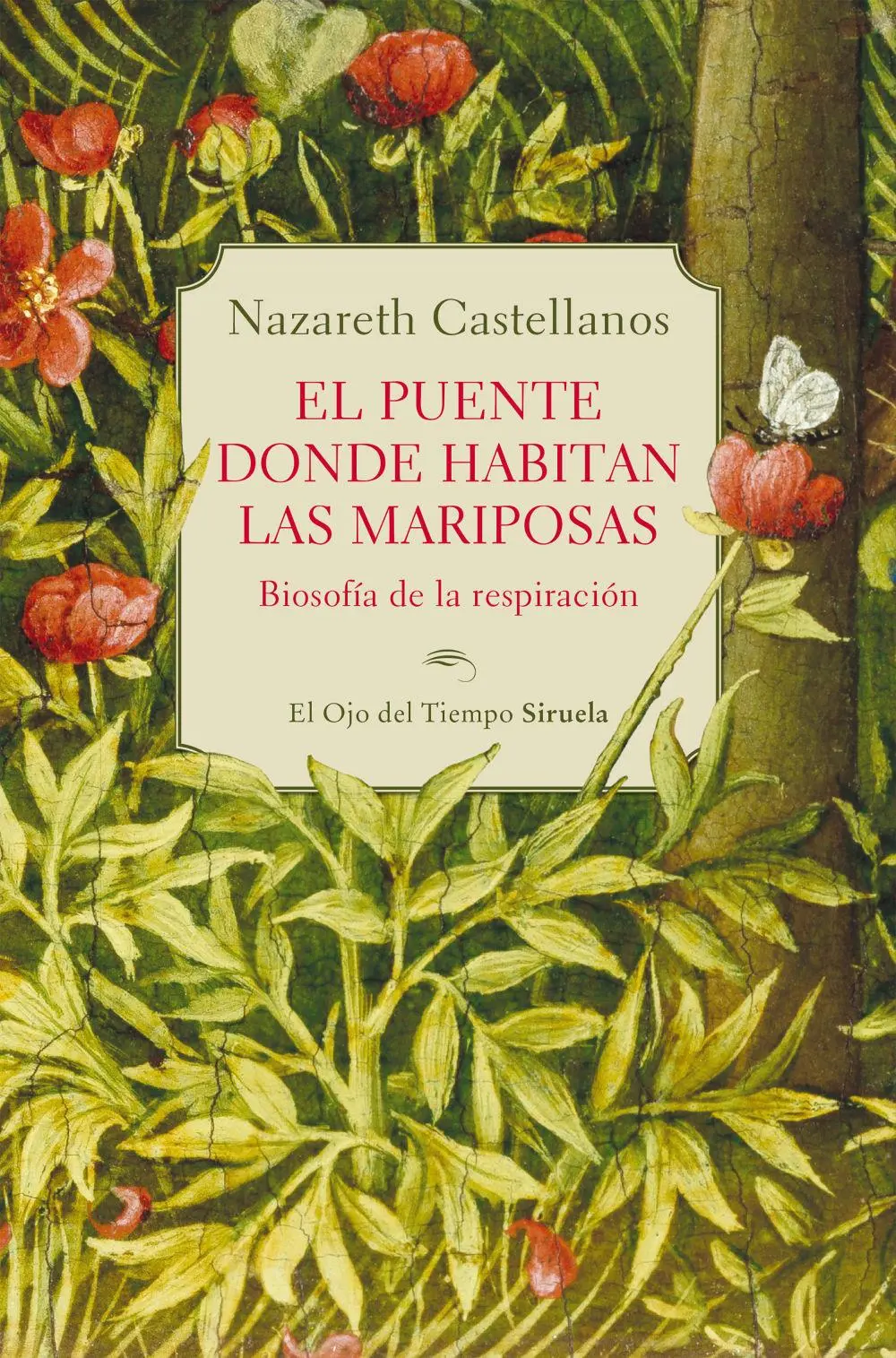 Bild: 9788410415324 | El puente donde habitan las mariposas | Taschenbuch | Spanisch