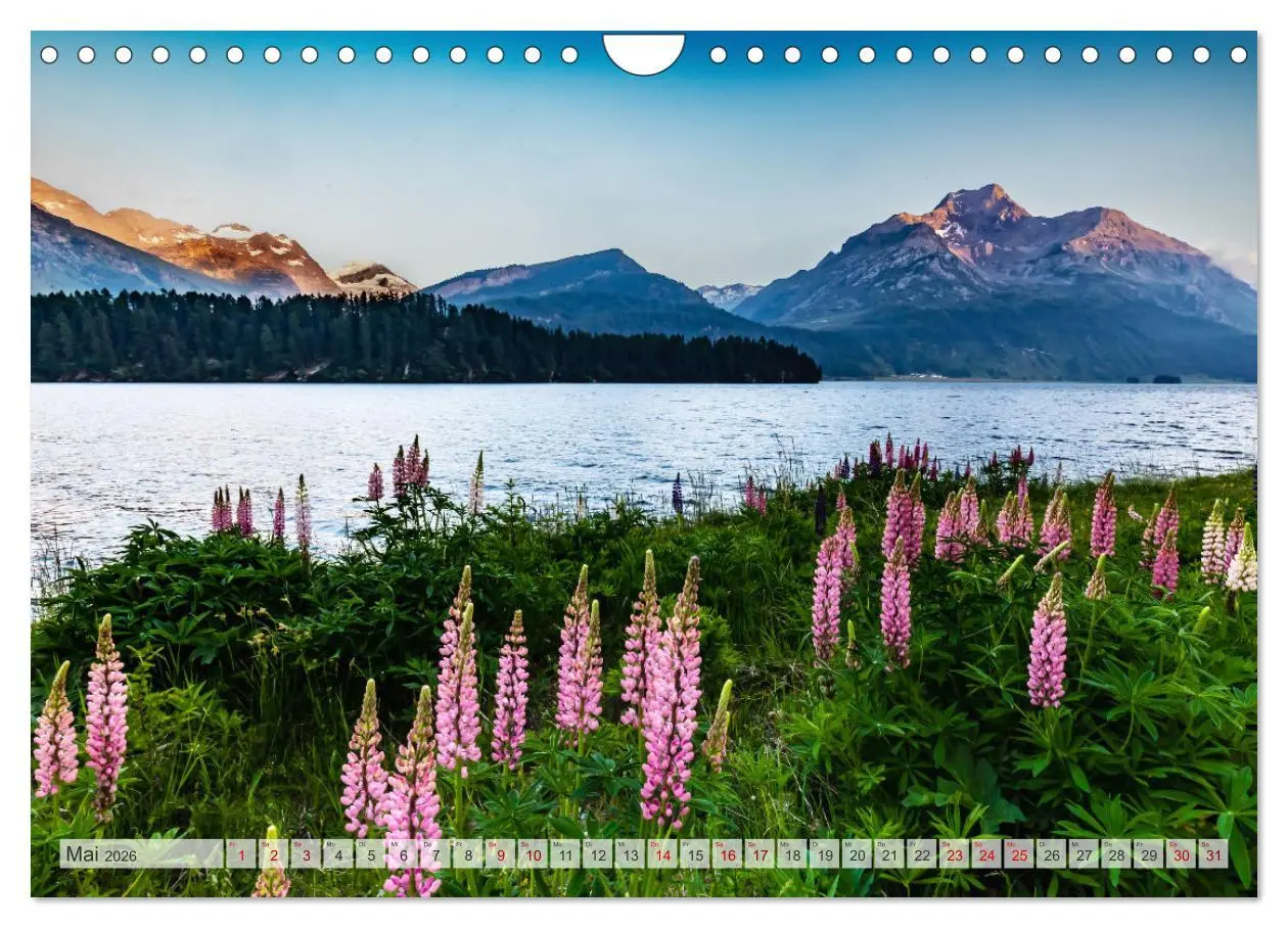 Bild: 9783457535424 | Silsersee Engadin (Wandkalender 2026 DIN A4 quer), CALVENDO...