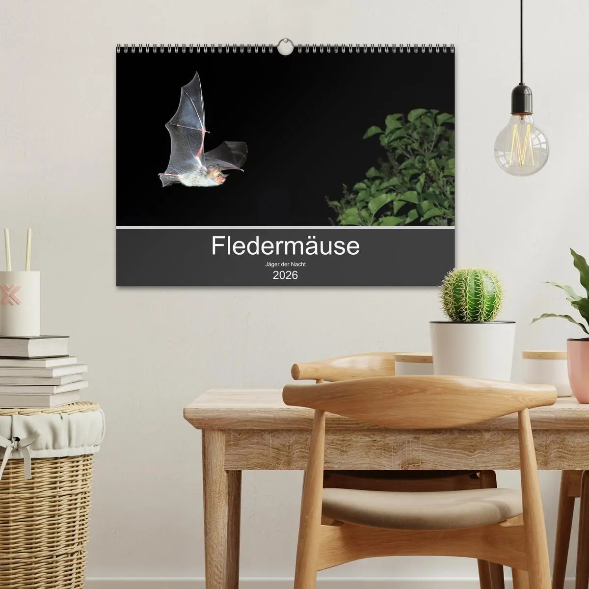 Bild: 9783457845424 | Fledermäuse - Jäger der Nacht (Wandkalender 2026 DIN A3 quer),...