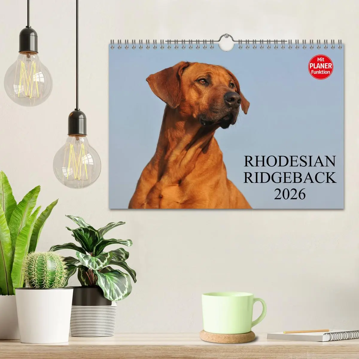 Bild: 9783516005424 | Rhodesian Ridgeback 2026 (Wandkalender 2026 DIN A4 quer), CALVENDO...