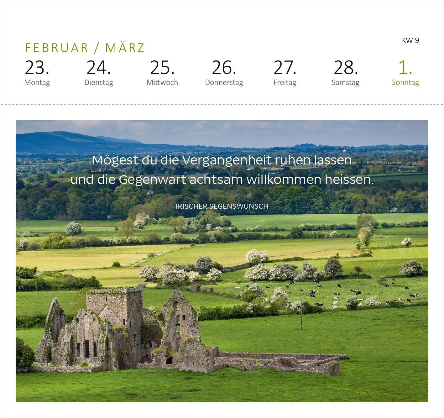 Bild: 4014489135524 | Postkartenkalender Irische Segenswünsche 2026 | Kalender | 108 S.