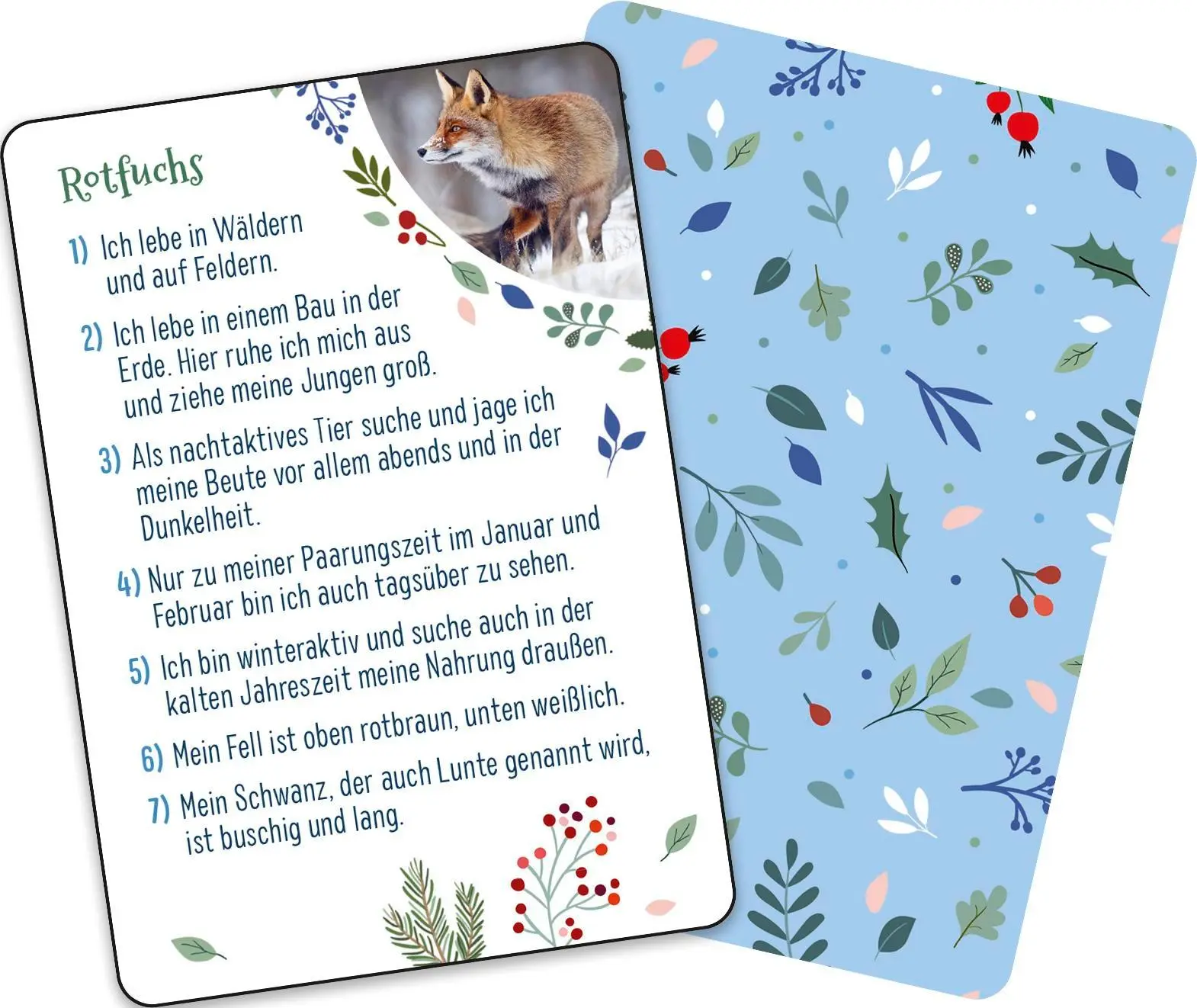 Bild: 4260308345524 | Kennst du den Winter? | Klara Wiesel | Spiel | Schachtel | 51 S.