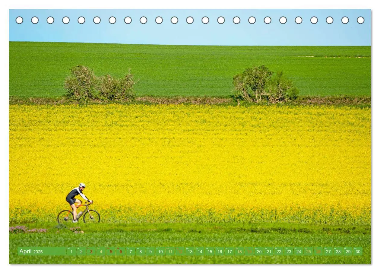 Bild: 9783457695524 | Sonne in den Speichen - Faszination Rennrad (Tischkalender 2026 DIN...
