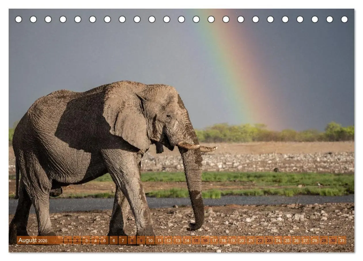 Bild: 9783516235524 | Das südliche Afrika 2026 (Tischkalender 2026 DIN A5 quer), CALVENDO...