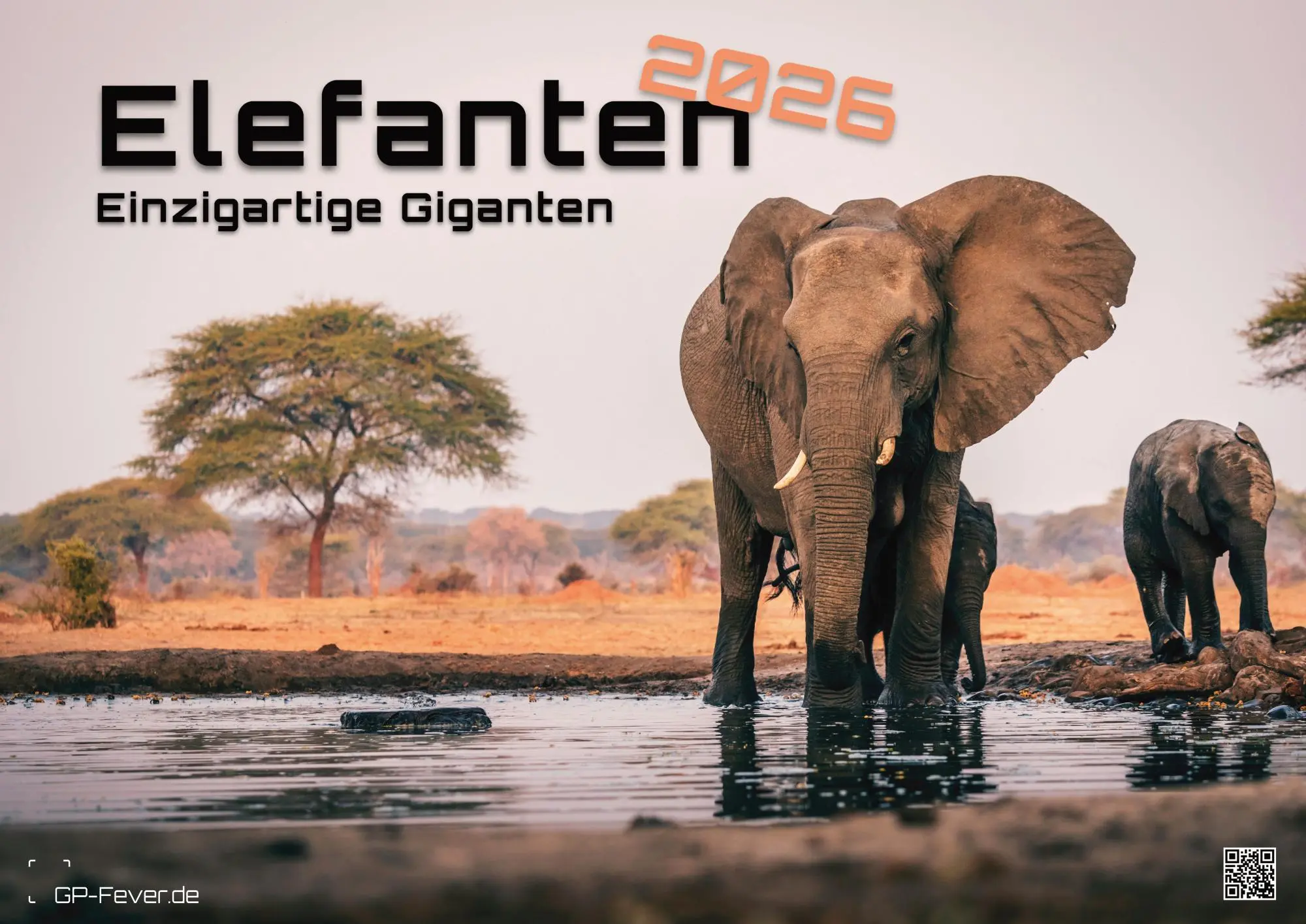 Cover: 9783986735524 | Elefanten - einzigartige Giganten - 2026 - Kalender DIN A2 | de | 2026