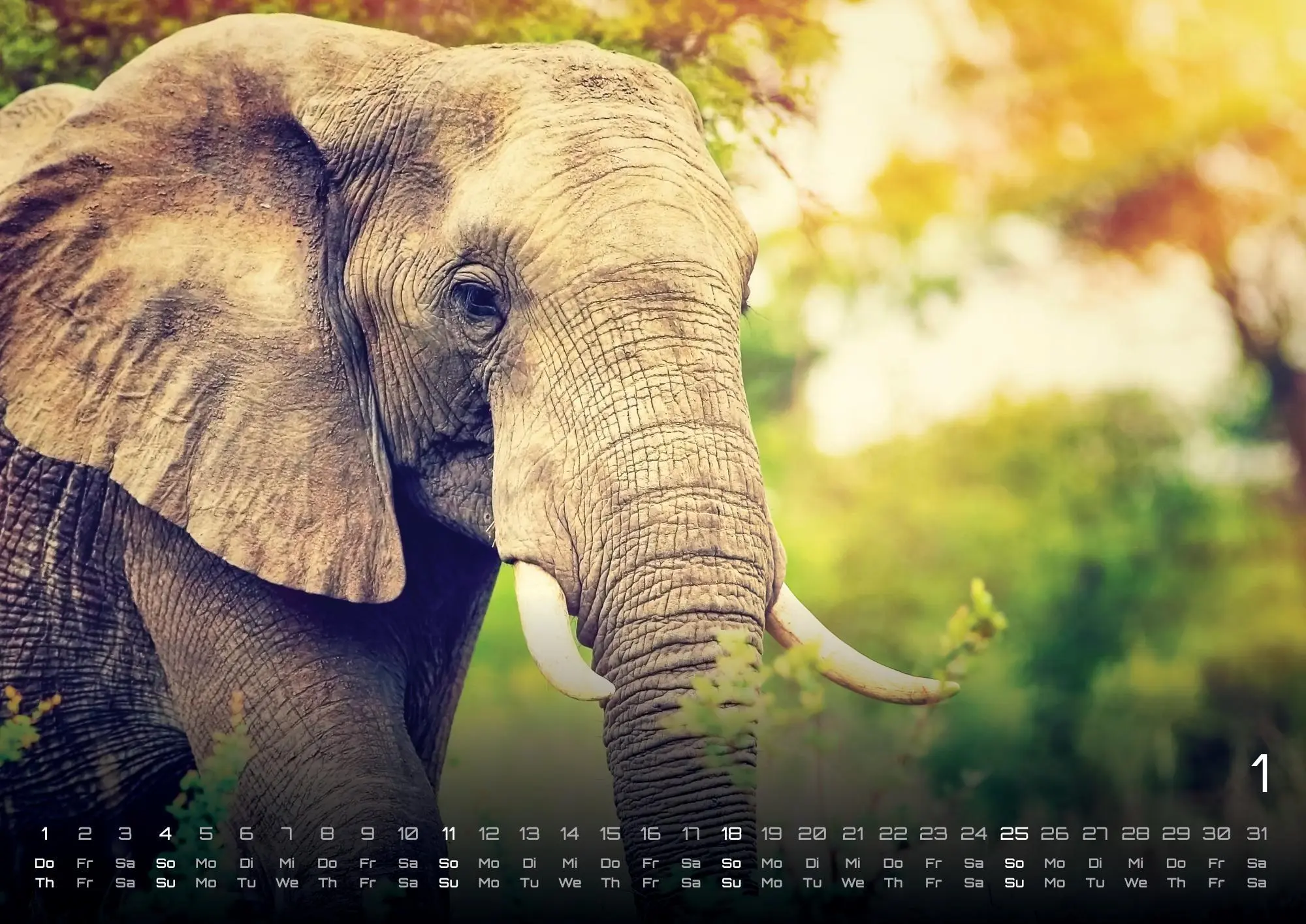 Bild: 9783986735524 | Elefanten - einzigartige Giganten - 2026 - Kalender DIN A2 | de | 2026