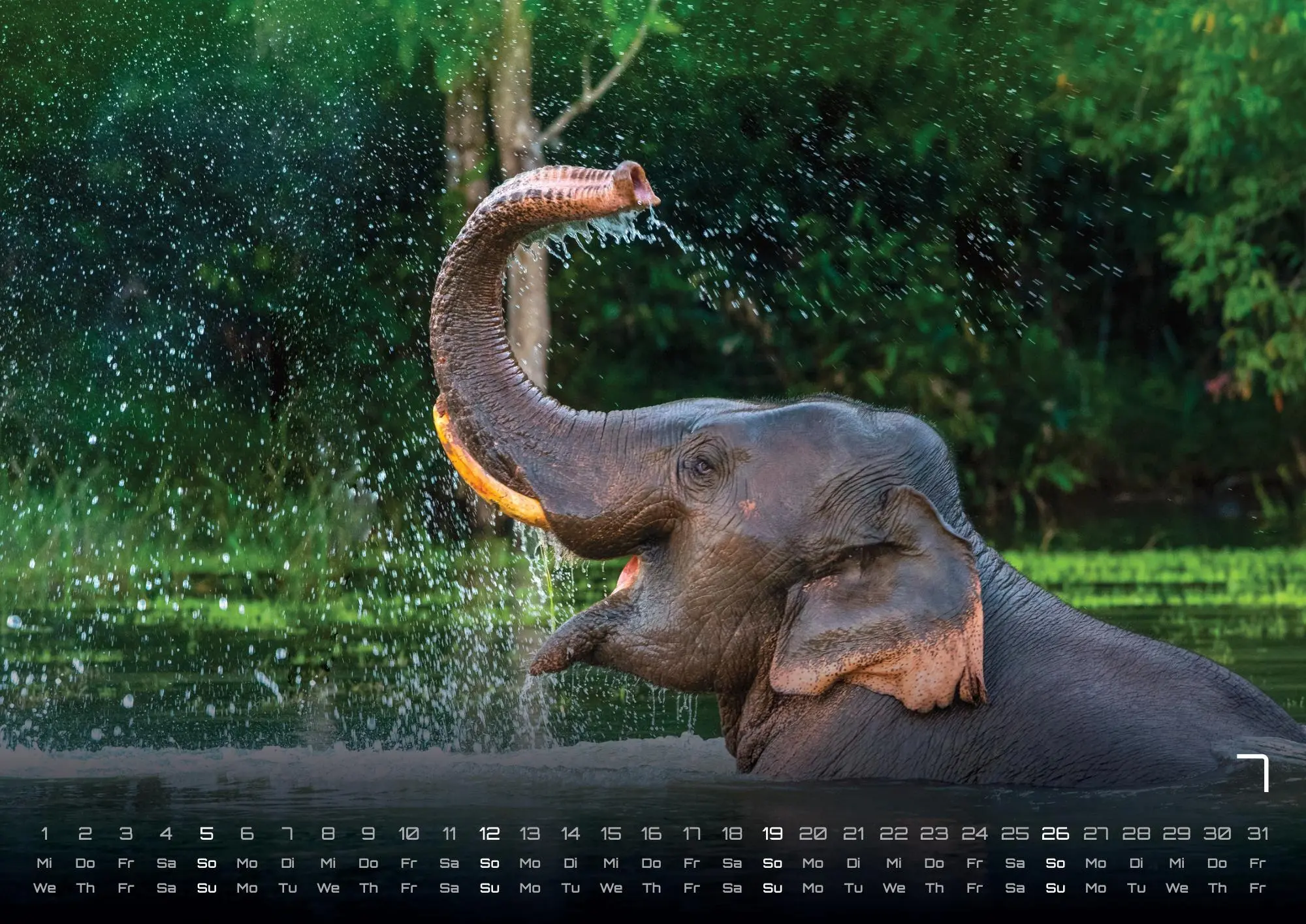 Bild: 9783986735524 | Elefanten - einzigartige Giganten - 2026 - Kalender DIN A2 | de | 2026