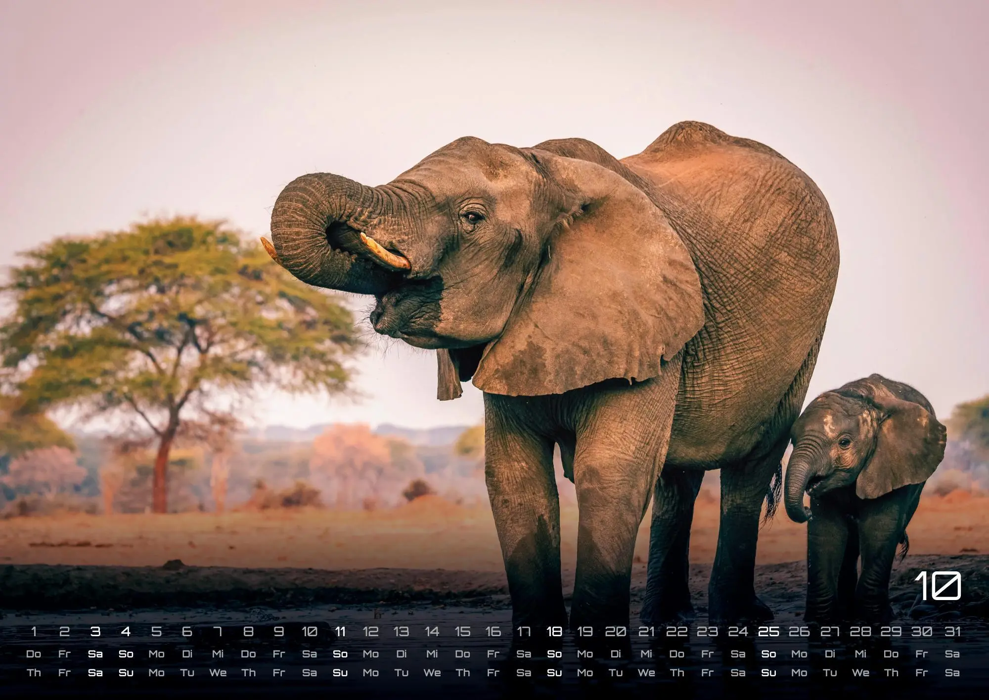 Bild: 9783986735524 | Elefanten - einzigartige Giganten - 2026 - Kalender DIN A2 | de | 2026