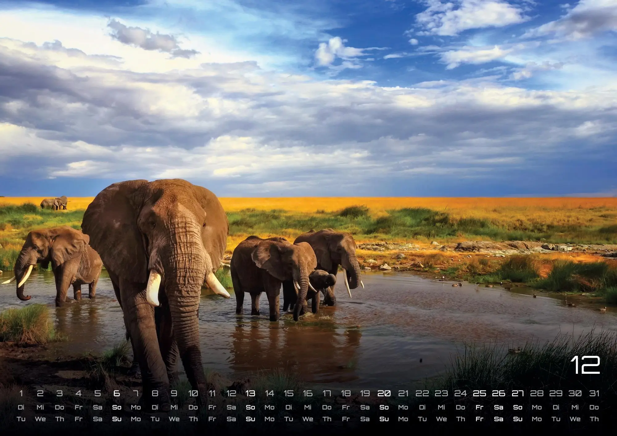 Bild: 9783986735524 | Elefanten - einzigartige Giganten - 2026 - Kalender DIN A2 | de | 2026