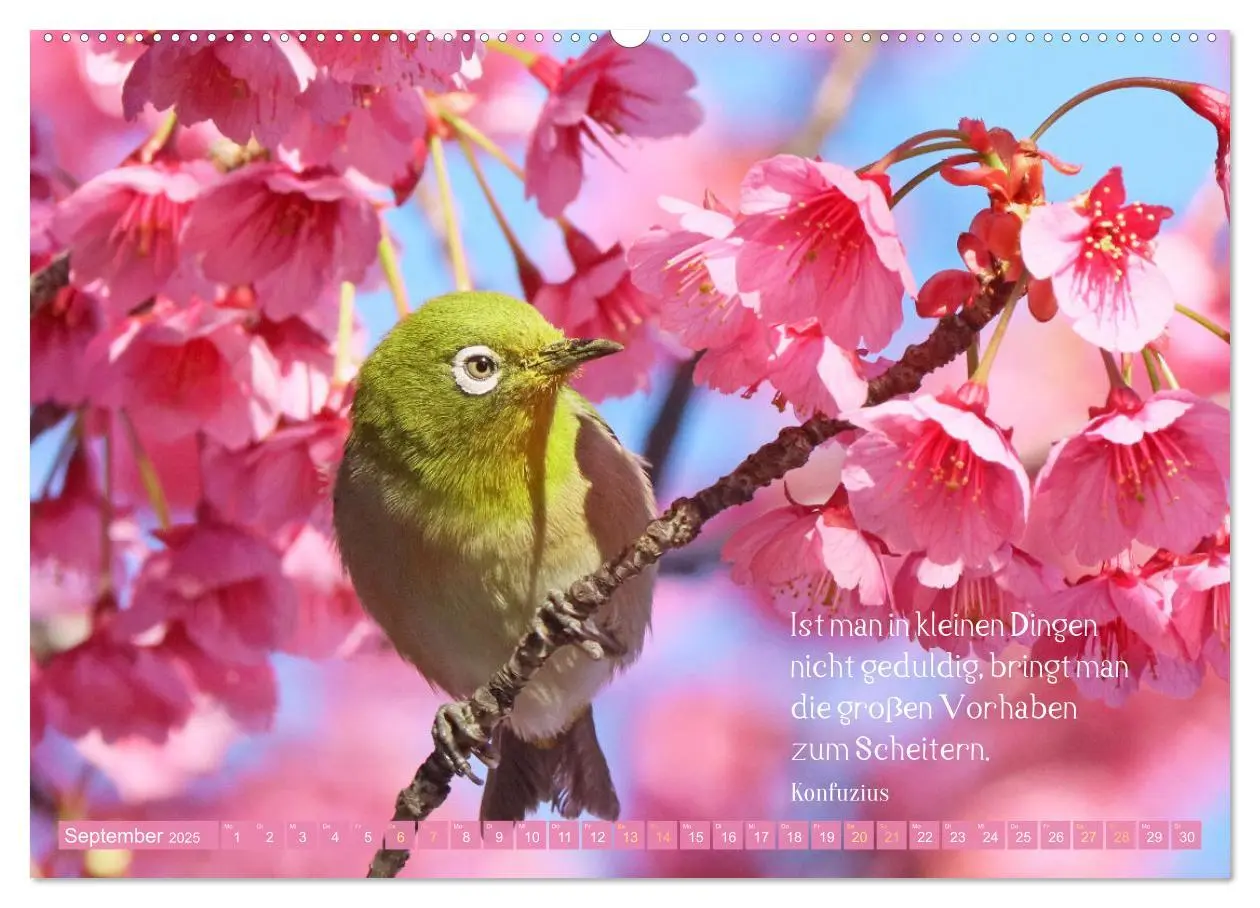 Bild: 9783383885624 | Natur-Meditationen - Nimm Dir Zeit (Wandkalender 2025 DIN A2 quer),...