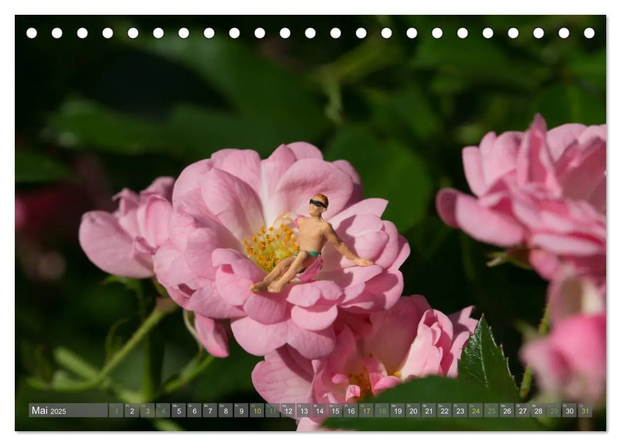 Bild: 9783435355624 | Miniaturfiguren in der Makrowelt ...ganz groß im Garten...