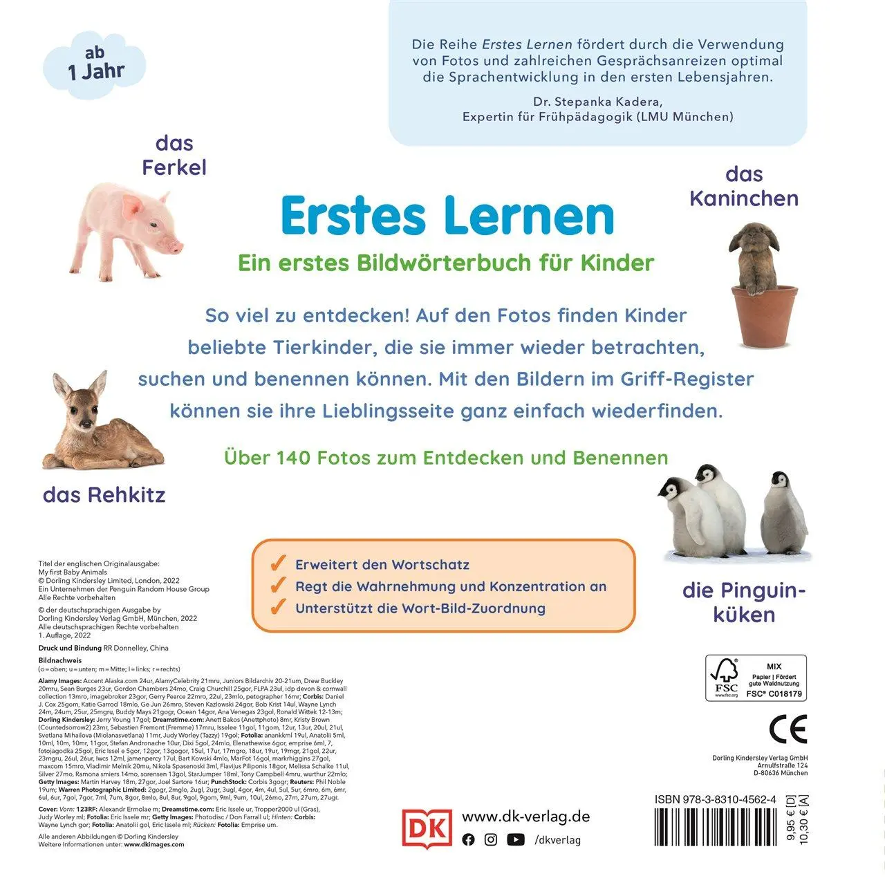 Rückseite: 9783831045624 | Erstes Lernen. Tierkinder | DK Verlag - Kids | Buch | Erstes Lernen