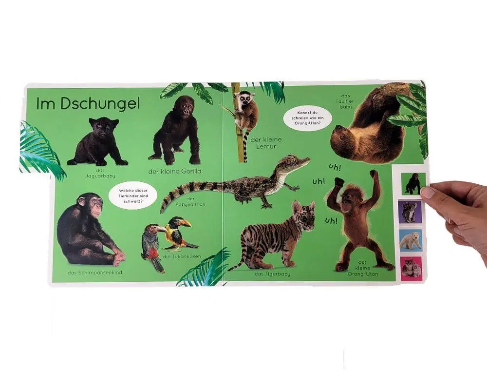 Bild: 9783831045624 | Erstes Lernen. Tierkinder | DK Verlag - Kids | Buch | Erstes Lernen