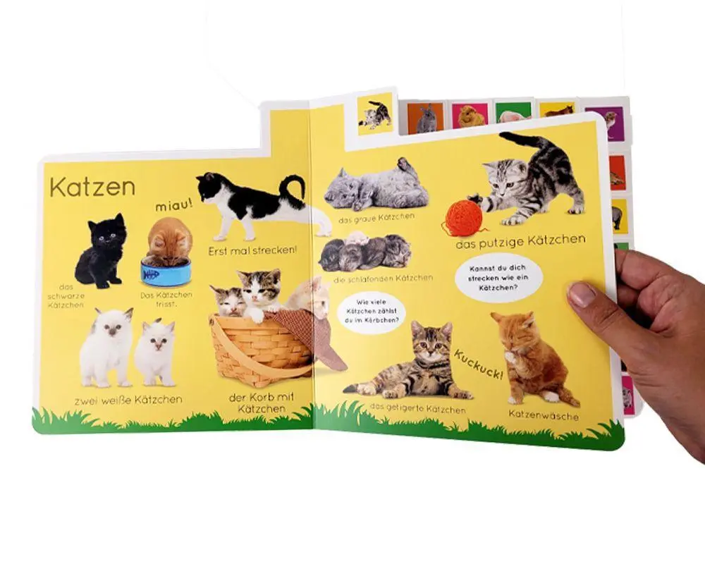 Bild: 9783831045624 | Erstes Lernen. Tierkinder | DK Verlag - Kids | Buch | Erstes Lernen