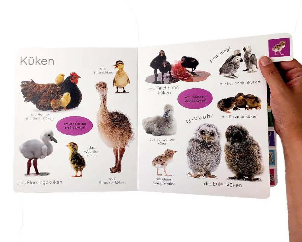 Bild: 9783831045624 | Erstes Lernen. Tierkinder | DK Verlag - Kids | Buch | Erstes Lernen