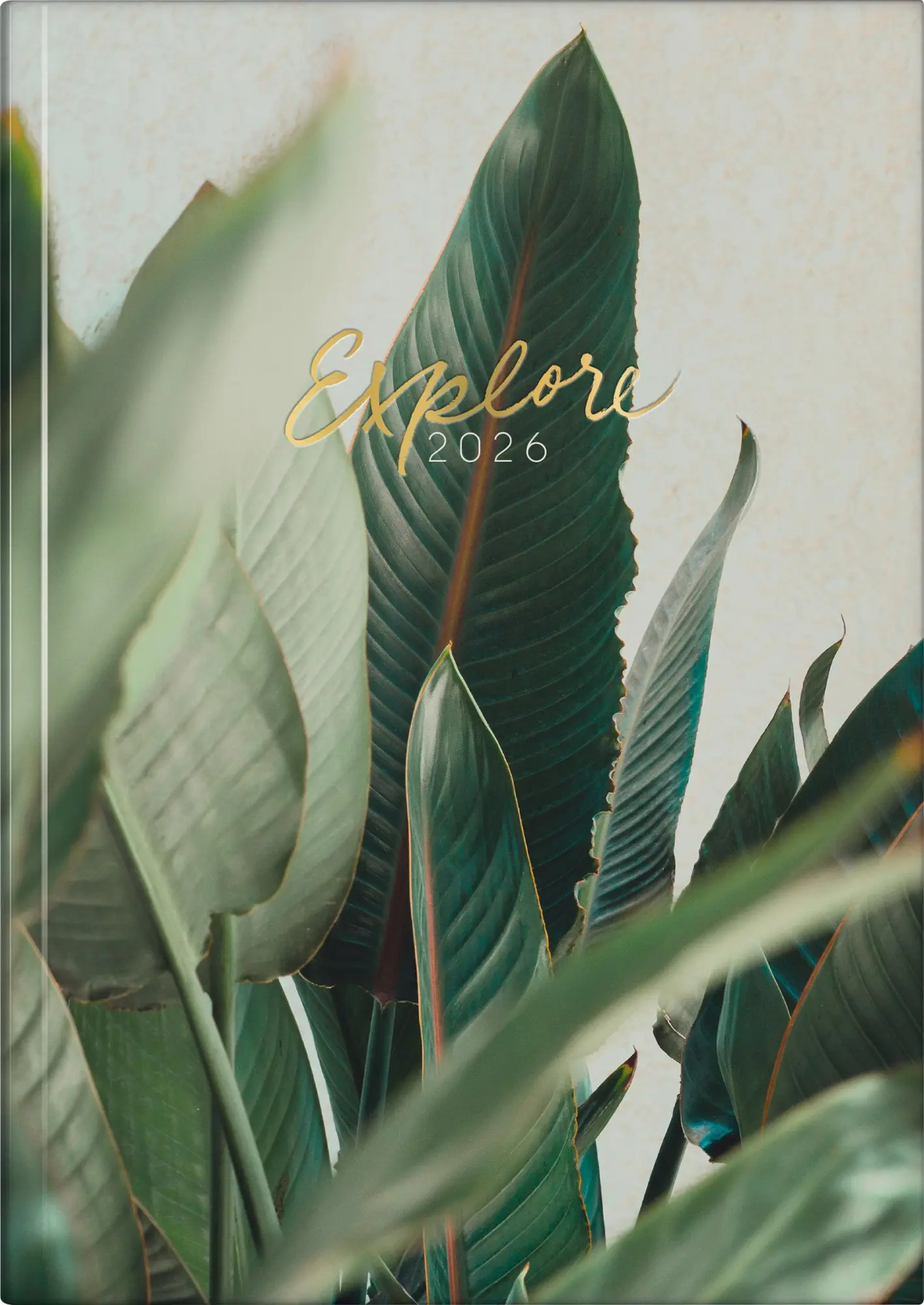 Cover: 4061947145724 | rido/idé 7021507036 Buchkalender Young Line 2026 "Explore" A5, Papier