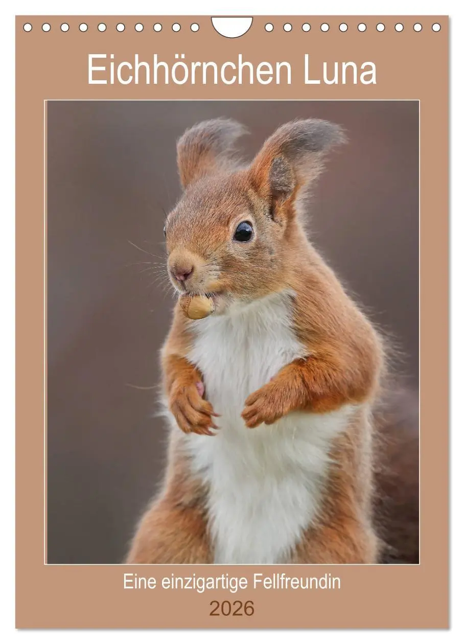 Cover: 9783516385724 | Eichhörnchen Luna (Wandkalender 2026 DIN A4 hoch), CALVENDO...