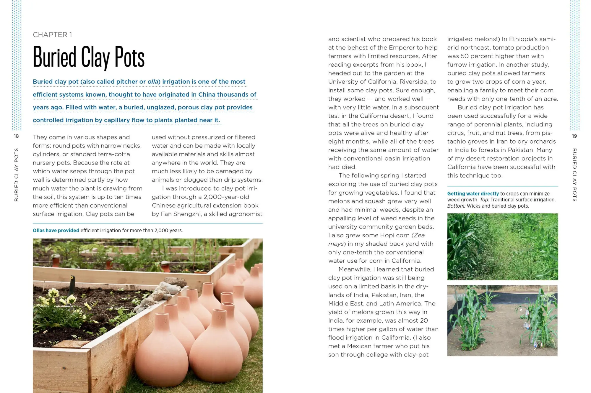 Bild: 9781612125824 | Gardening with Less Water | David A Bainbridge | Taschenbuch | 2015