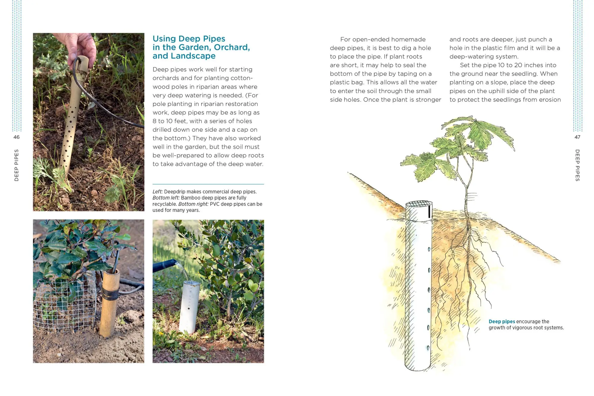 Bild: 9781612125824 | Gardening with Less Water | David A Bainbridge | Taschenbuch | 2015