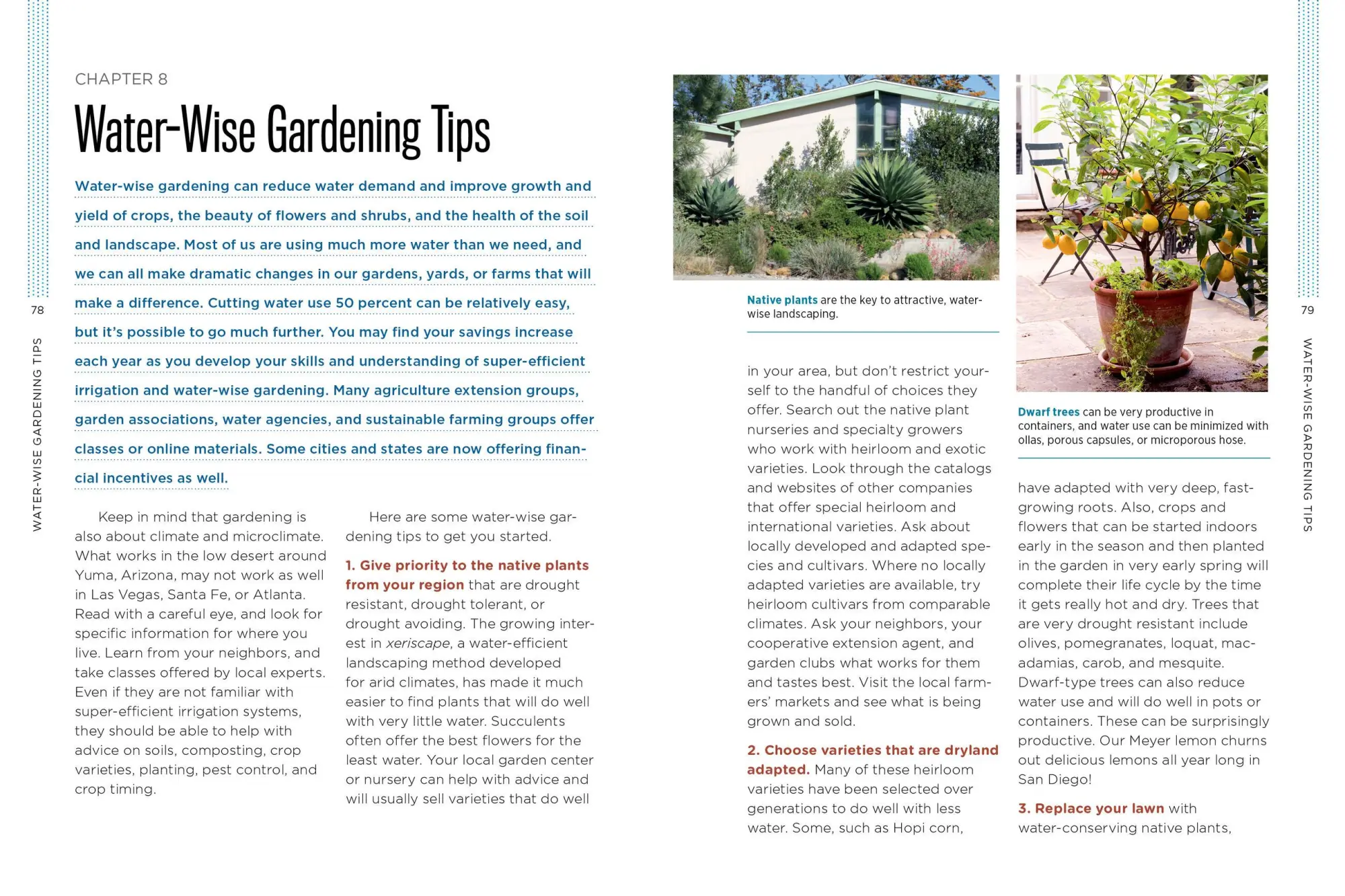Bild: 9781612125824 | Gardening with Less Water | David A Bainbridge | Taschenbuch | 2015